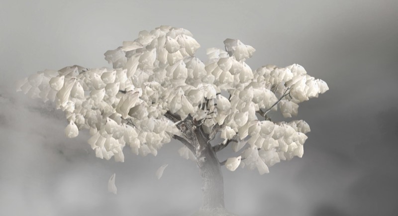 The Wind Blew Over the Summer by Zhe Ren